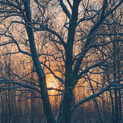 Photo #7080669
