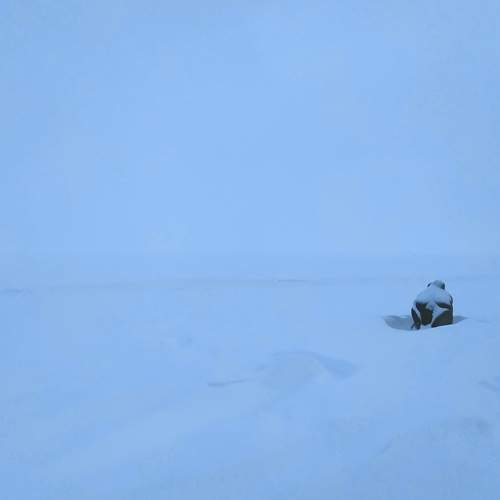 Photo #7080720