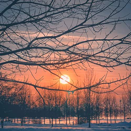 Photo #7080729