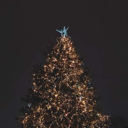 Photo #7081419