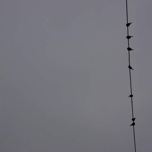 Photo #7081462