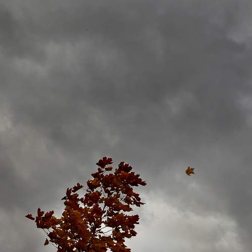 Photo #7081503