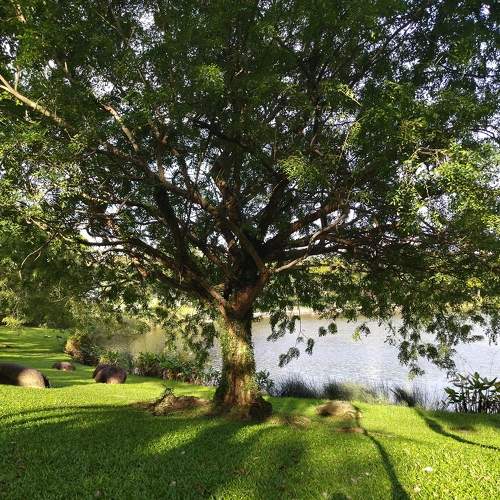 Photo #7081624