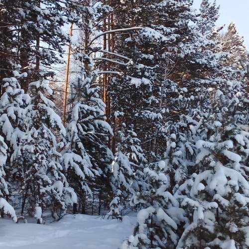 Photo #7081636