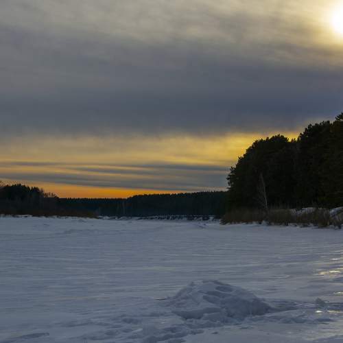 Photo #7081796