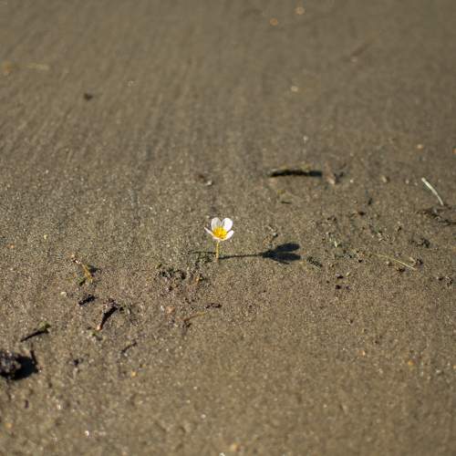 Photo #7081894