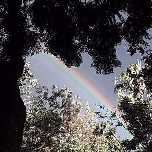 Photo #7082198