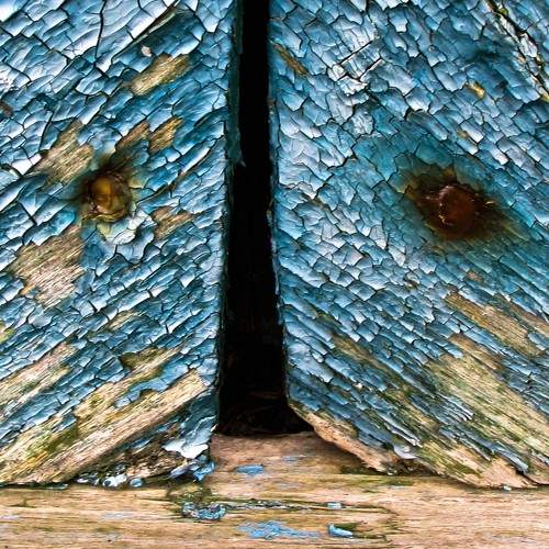 Photo #7082464