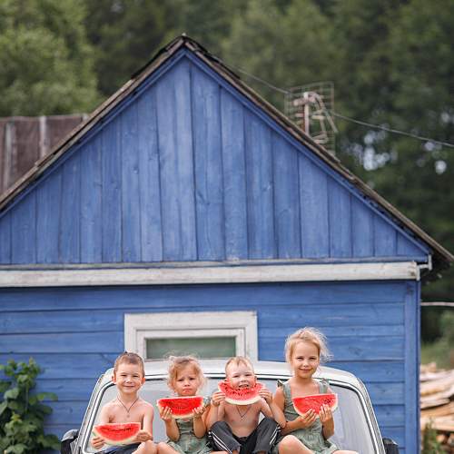 Photo #7082651