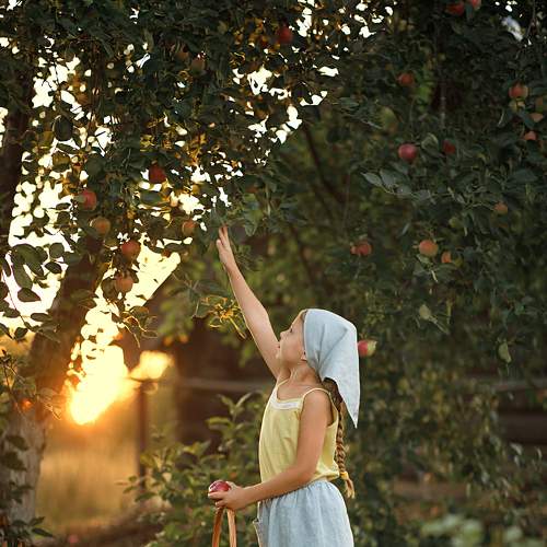 Photo #7082670
