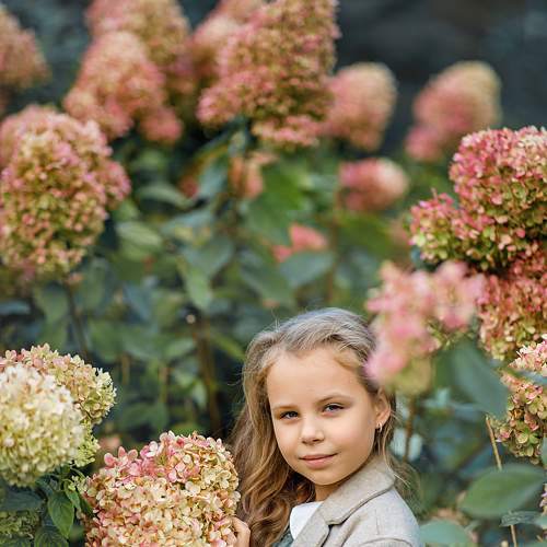 Photo #7082684