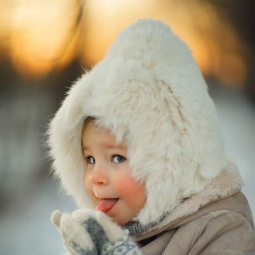Photo #7082706