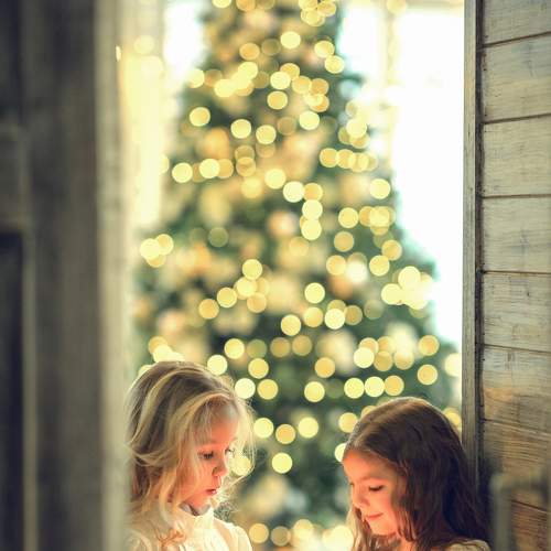 Photo #7082729