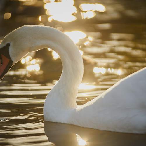 Фотография #7083024