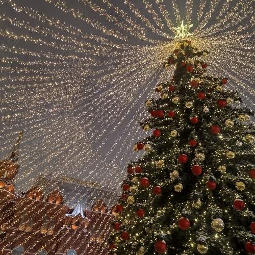 Photo #7083449
