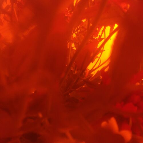 Photo #7084354