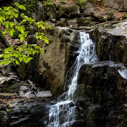 Photo #7084658