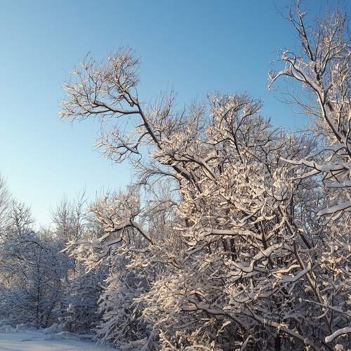 Photo #7084787