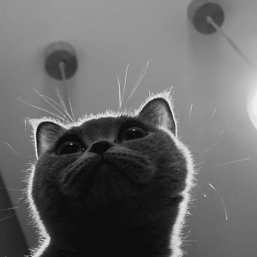 Фотография #7085131