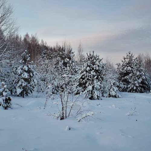 Photo #7085260