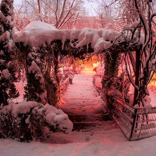 Photo #7085664