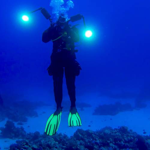 Photo #7086046