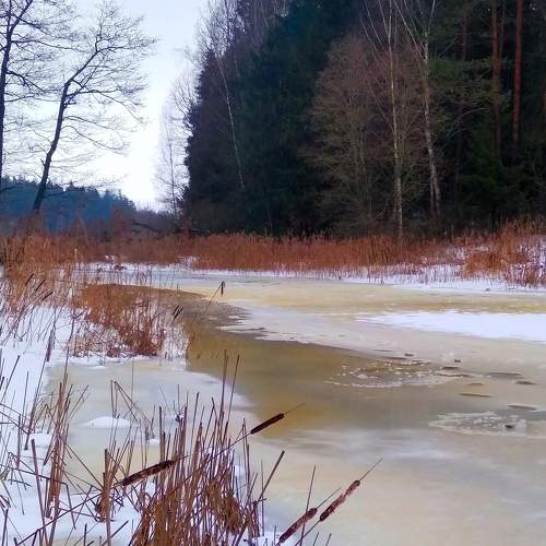 Photo #7087059