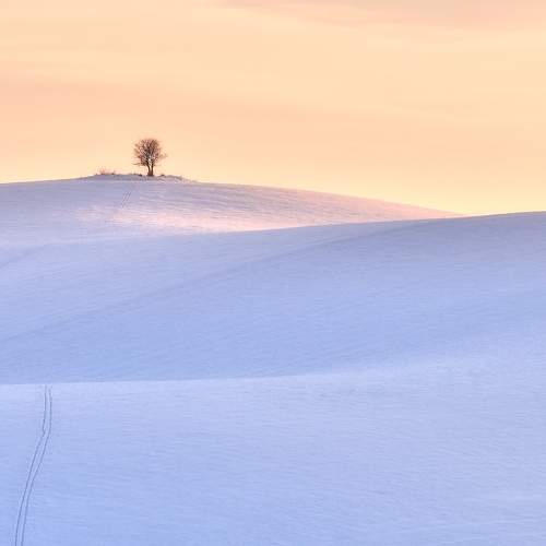Photo #7087099