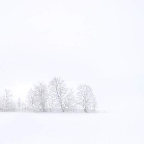 Photo #7087158