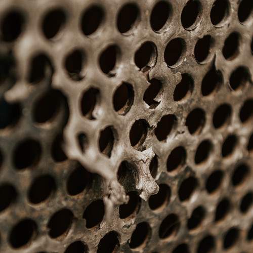 Photo #7087775
