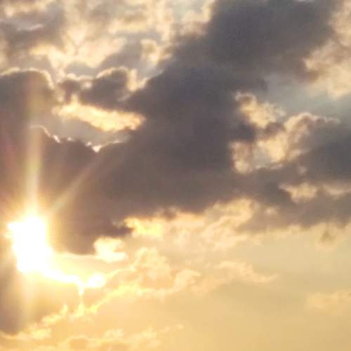 Photo #7087911