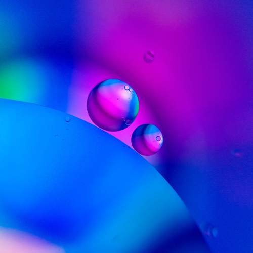 Photo #7088091