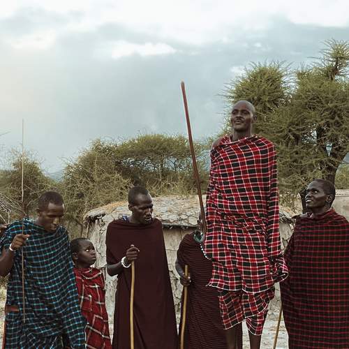 Photo #7088123