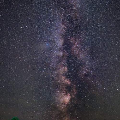 Photo #7088574