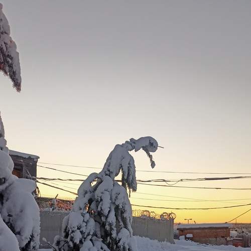 Photo #7089011