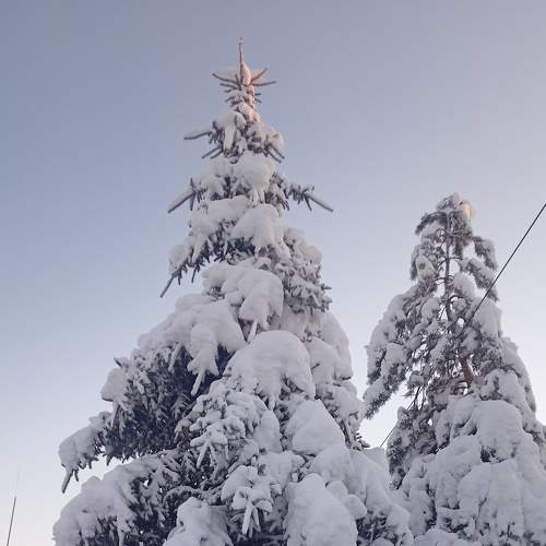 Photo #7089012