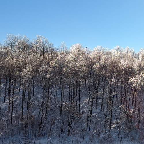Photo #7089013