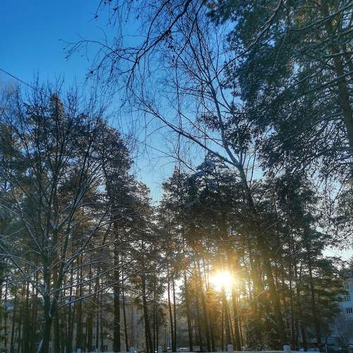 Photo #7089029
