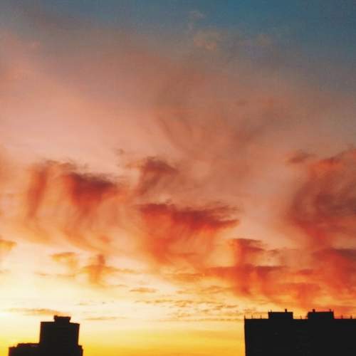 Photo #7089051