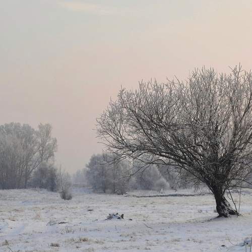 Photo #7089628