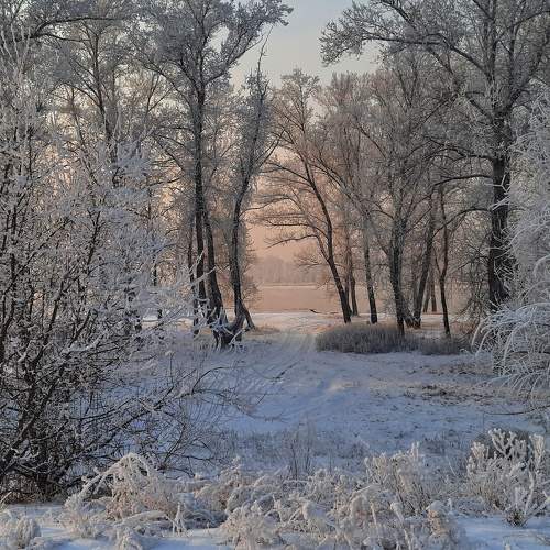 Photo #7089652
