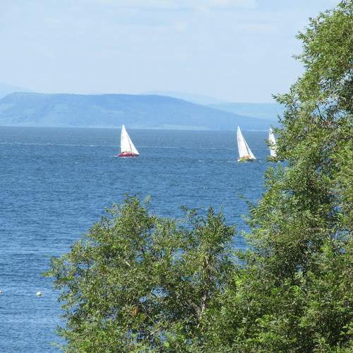Photo #7089775
