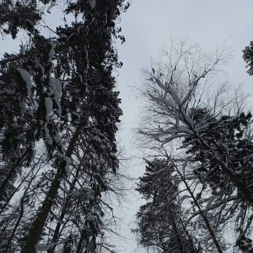 Photo #7090279