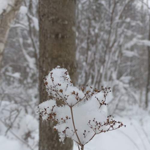 Photo #7090280