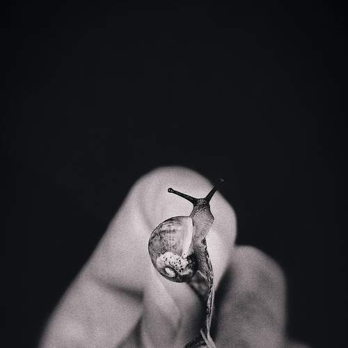 Photo #7090728
