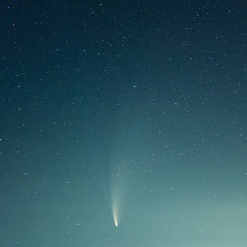 NEOWISE in a fields