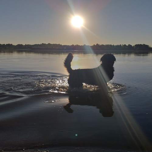 Photo #7091385