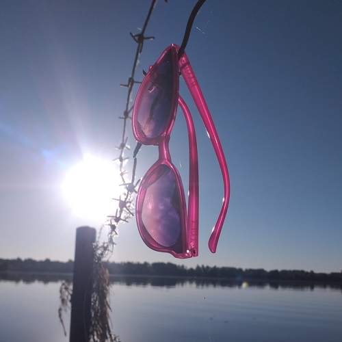 Photo #7091386