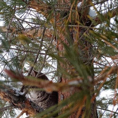 Photo #7091598