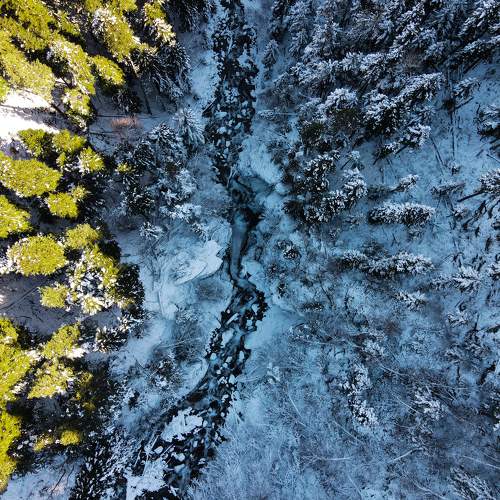 Photo #7091692